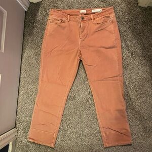 J. Jill Women's Straight Leg Jeans in Warm Tan